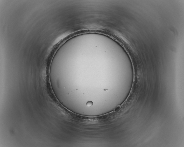 X0000113251315200910011338