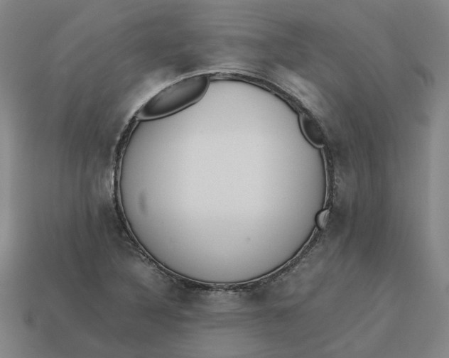 X0000113251316200910011338