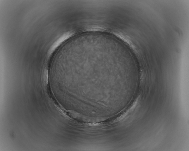 X0000113251317200910011338