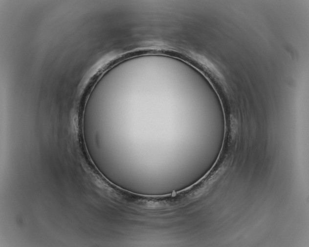 X0000113251318200910011338