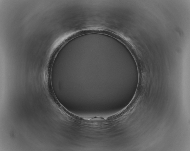 X0000113251319200910011338