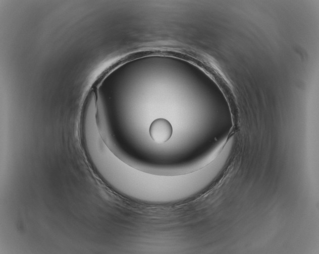 X0000113251320200910011338