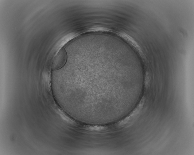 X0000113251321200910011338