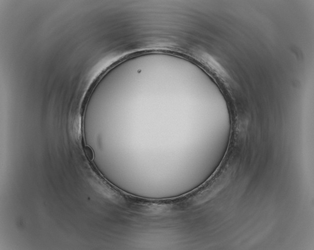 X0000113251324200910011338