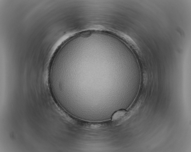 X0000113251326200910011338