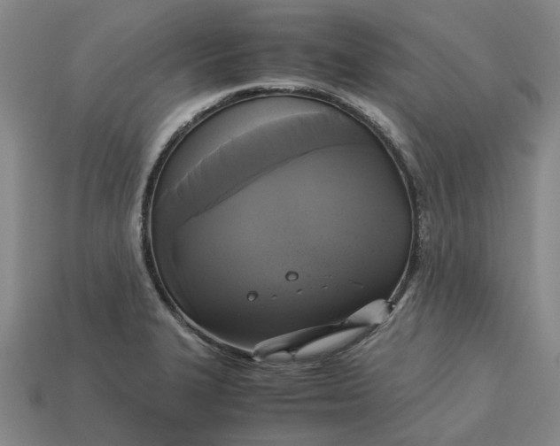 X0000113251327200910011338