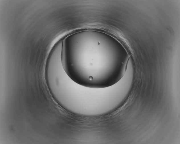 X0000113251328200910011338