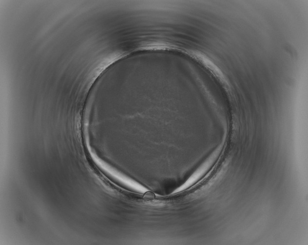 X0000113251329200910011338