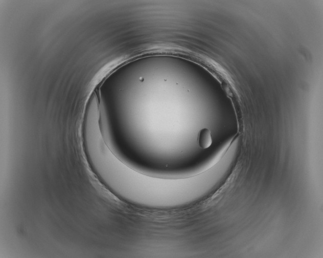 X0000113251330200910011338