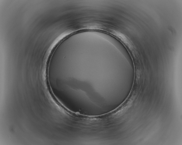 X0000113251331200910011338