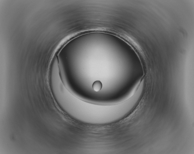 X0000113251332200910011338