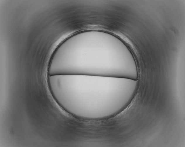 X0000113251333200910011338