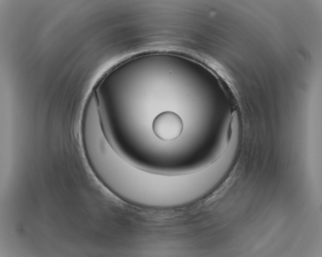 X0000113251334200910011338