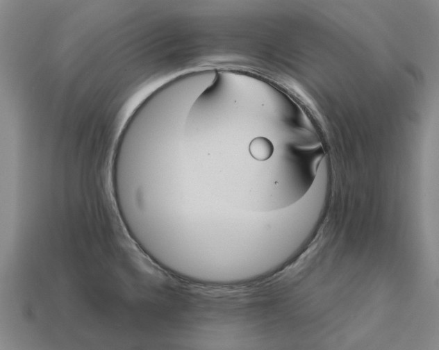 X0000113251336200910011338