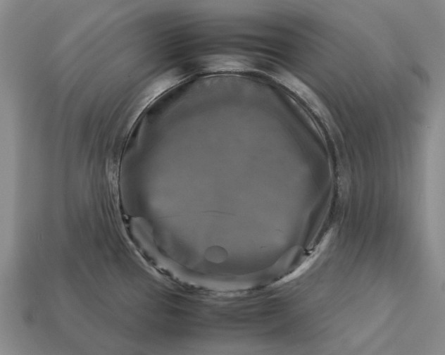 X0000113251337200910011338