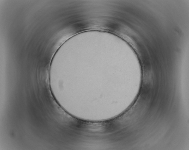 X0000113251338200910011338