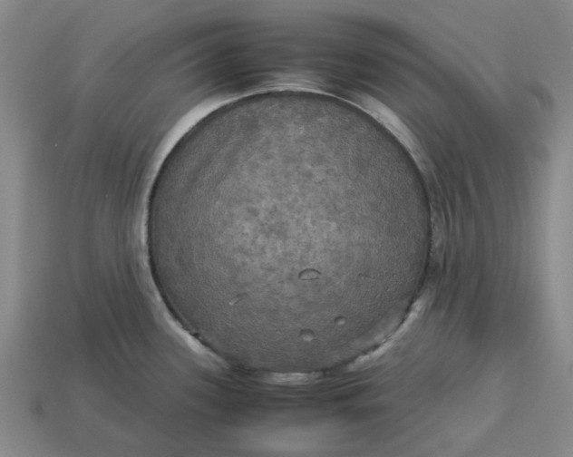 X0000113251339200910011338