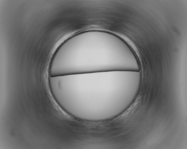 X0000113251341200910011338