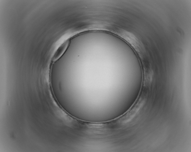 X0000113251342200910011338