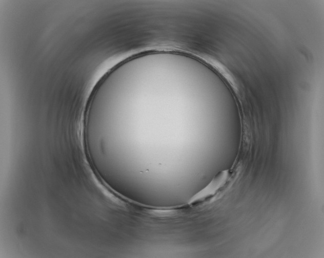 X0000113251343200910011338