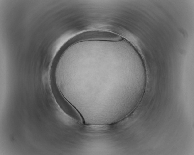 X0000113251344200910011338