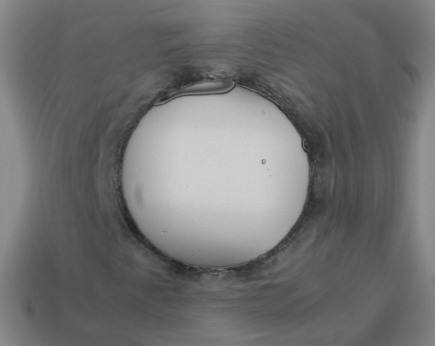 X0000113251345200910011338