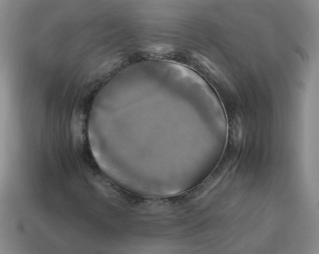 X0000113251346200910011338