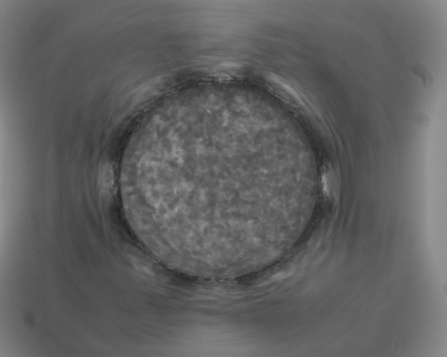 X0000113251347200910011338