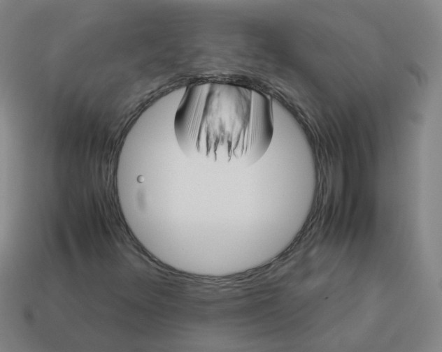 X0000113251348200910011338