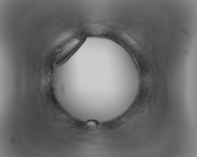 X0000113251349200910011338