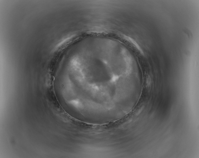 X0000113251350200910011338