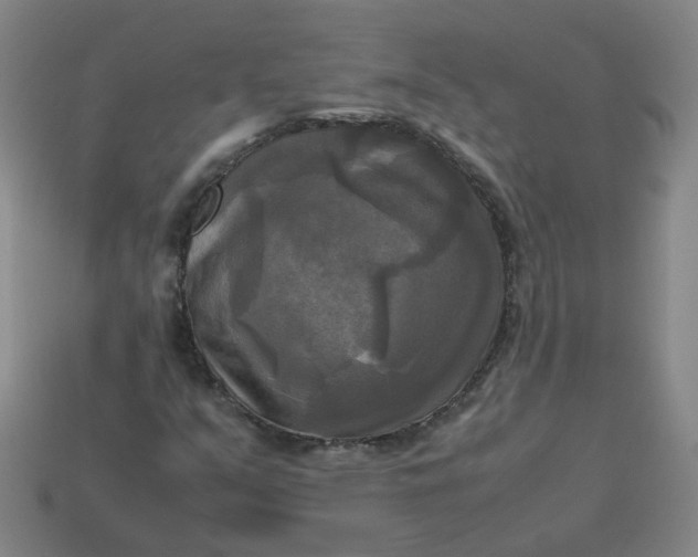 X0000113251351200910011338