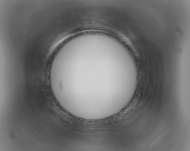 X0000113251352200910011338