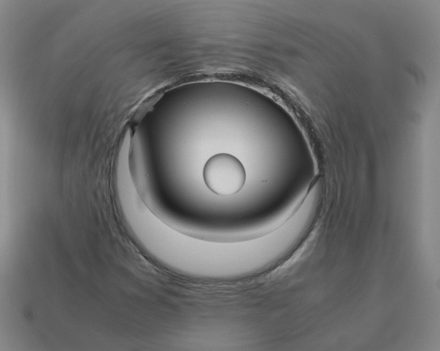 X0000113251353200910011338