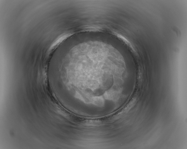 X0000113251354200910011338