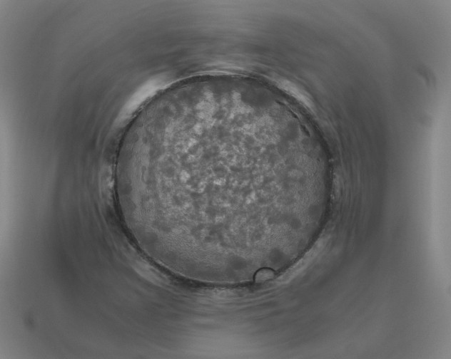 X0000113251355200910011338