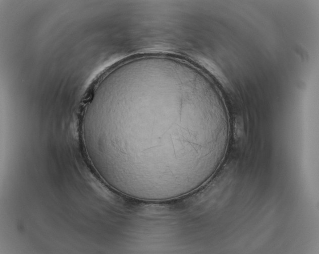 X0000113251356200910011338