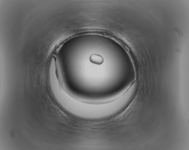 X0000113251357200910011337