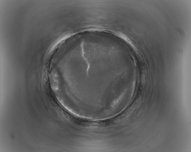 X0000113251359200910011337