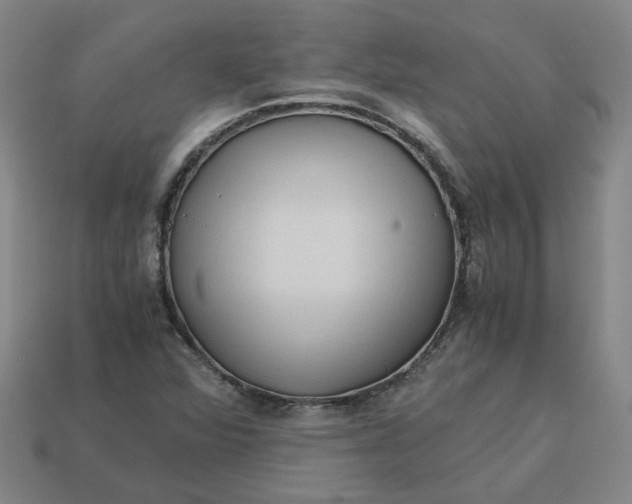 X0000113251360200910011337