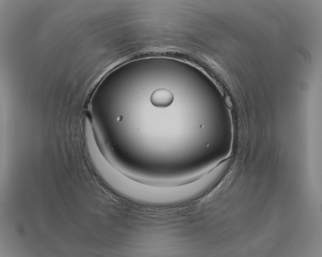 X0000113251361200910011337