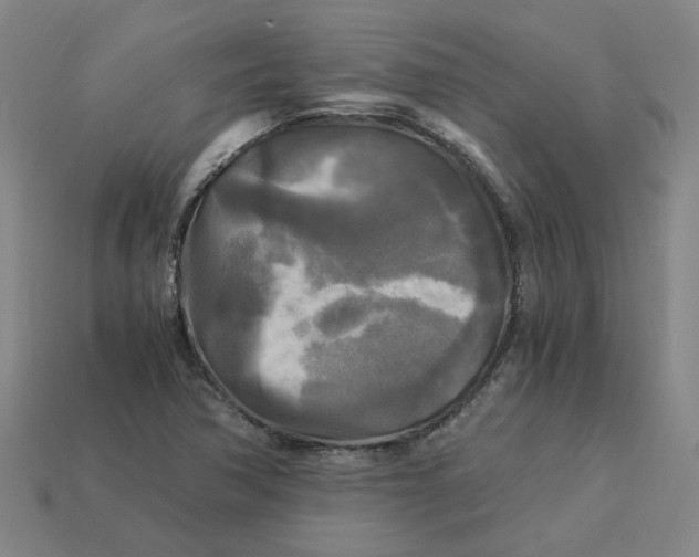 X0000113251362200910011337