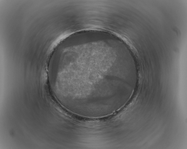 X0000113251363200910011337