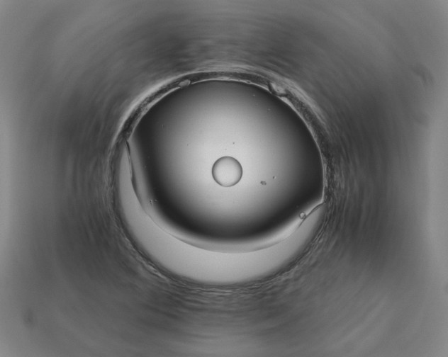 X0000113251364200910011337