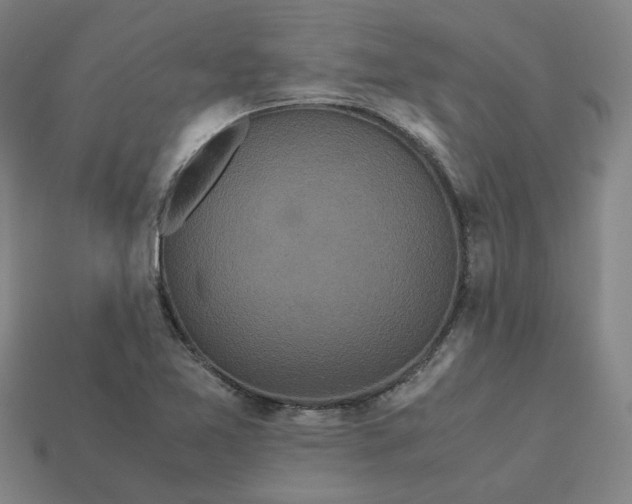 X0000113251365200910011337