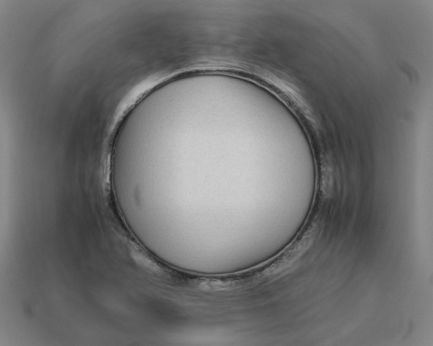 X0000113251366200910011337