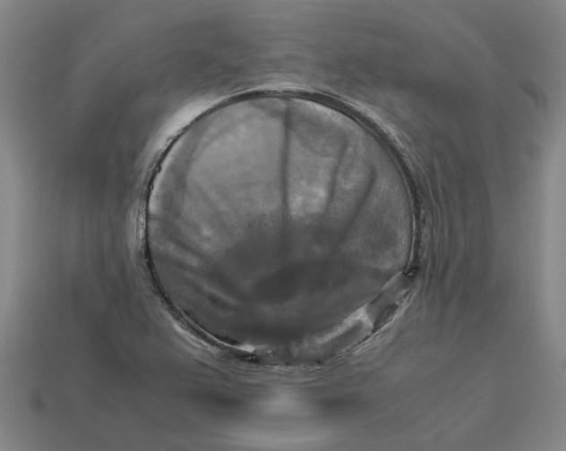 X0000113251367200910011337