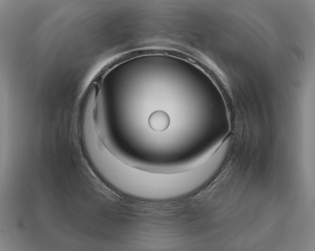 X0000113251368200910011337