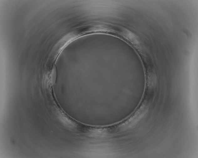 X0000113251369200910011337