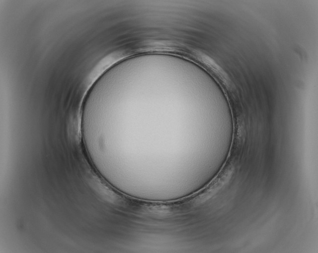 X0000113251370200910011337